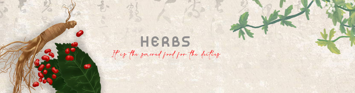 Herbs for Havan