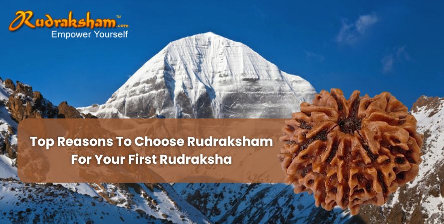 Reasons To Choose Rudraksham