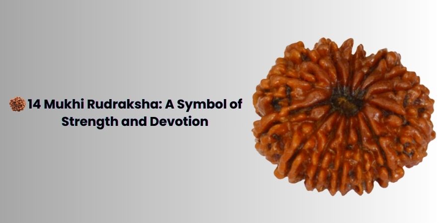 14 Mukhi Rudraksha: A Symbol of Strength and Devotion