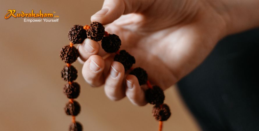 Things to Know Before Buying Authentic Rudraksha