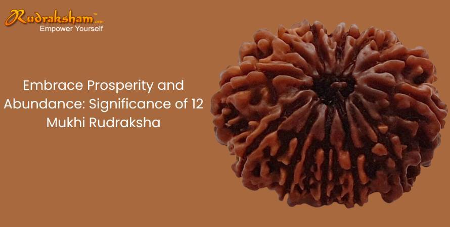 Embrace Prosperity and Abundance: Significance of 12 Mukhi Rudraksha