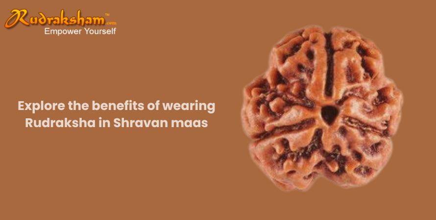 Explore the benefits of wearing Rudraksha in Shravan maas