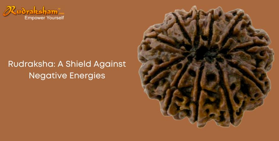 Rudraksha: A Shield Against Negative Energies