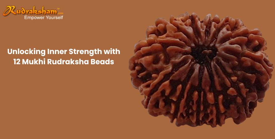 Unlocking Inner Strength with 12 Mukhi Rudraksha Beads