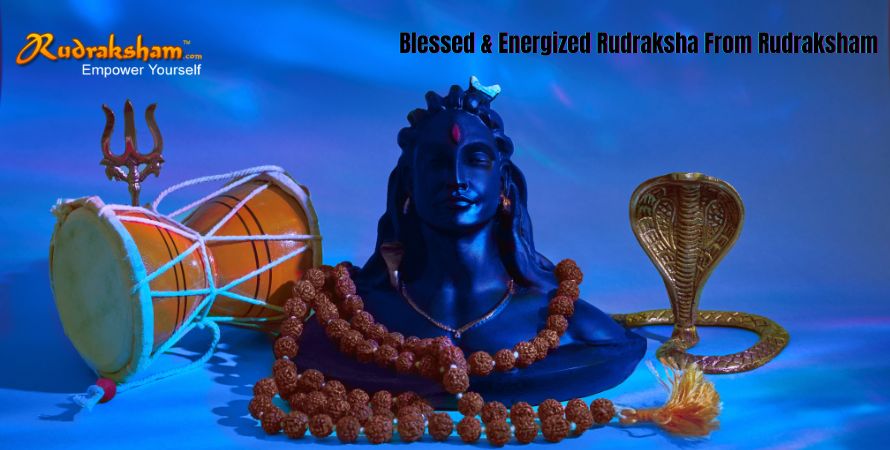 Blessed and Energized Rudraksha From Rudraksham