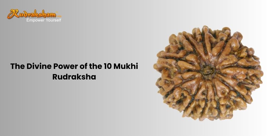 The Divine Power of the 10 Mukhi Rudraksha