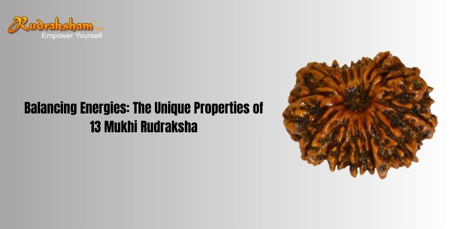 Balancing Energies: The Unique Properties of 13 Mukhi Rudraksha