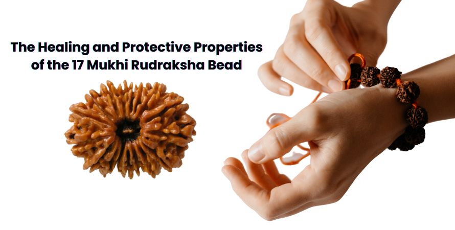 The Healing and Protective Properties of the 17 Mukhi Rudraksha Bead