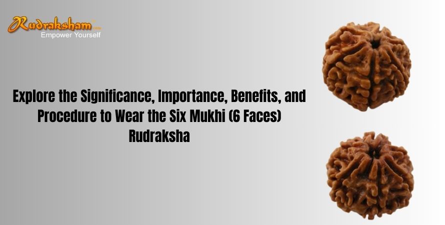 Explore the Significance, Importance, Benefits, and Procedure to Wear the Six Mukhi (6 Faces) Rudraksha