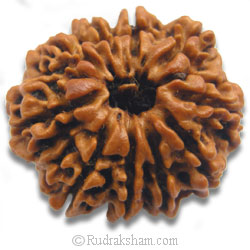 10 Mukhi