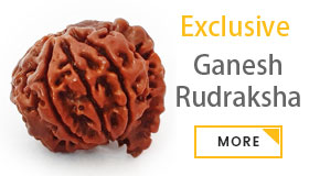 special ganesh rudraksha