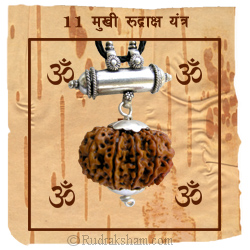 Medium Rudraksha Yantra Medium Rudraksha Yantra