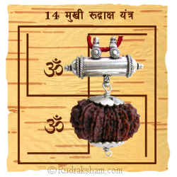 Collector Rudraksha Yantra Collector Rudraksha Yantra