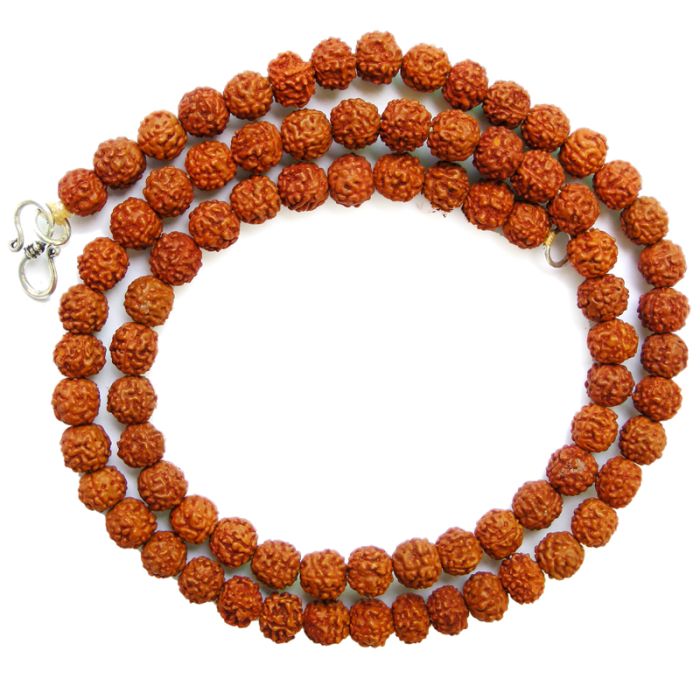 6 Mukhi Rudraksha Bracelet - Rudraksha Ratna