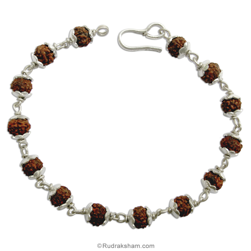 Energized 3 Mukhi (Face) Rudraksha Bracelet – Zowawi