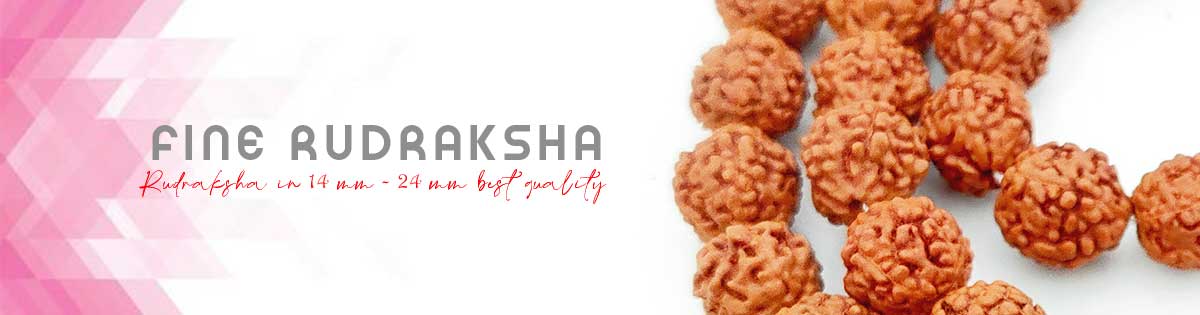 Fine Rudraksha Fine Rudraksha