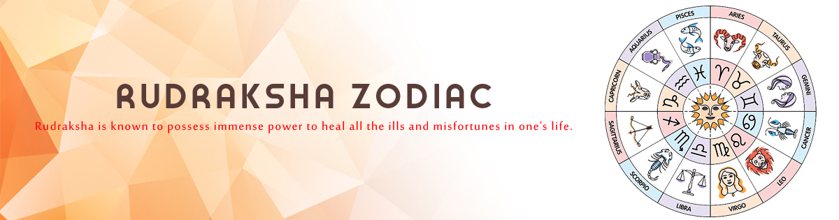 Zodiac Collection Zodiac Collection
