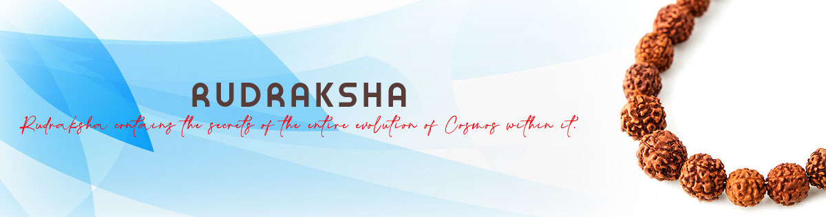 Rudraksha Rudraksha