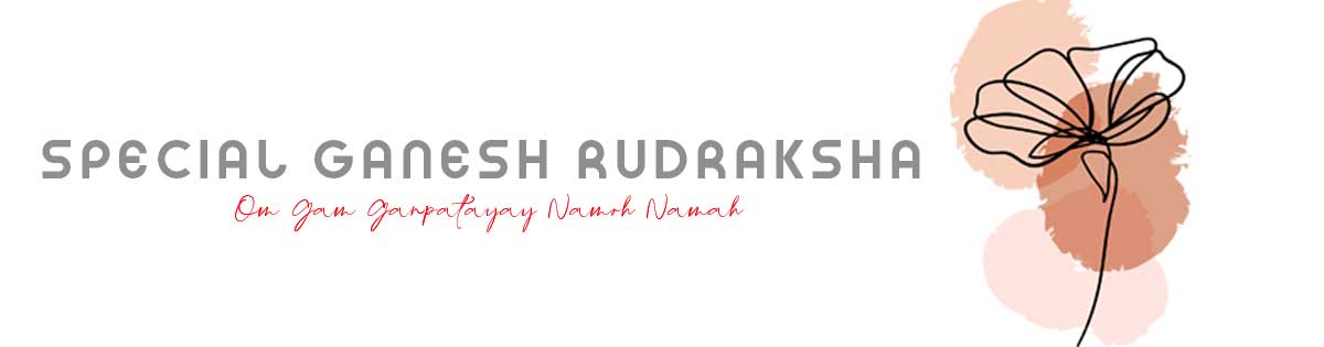Special Ganesh Rudraksha Special Ganesh Rudraksha